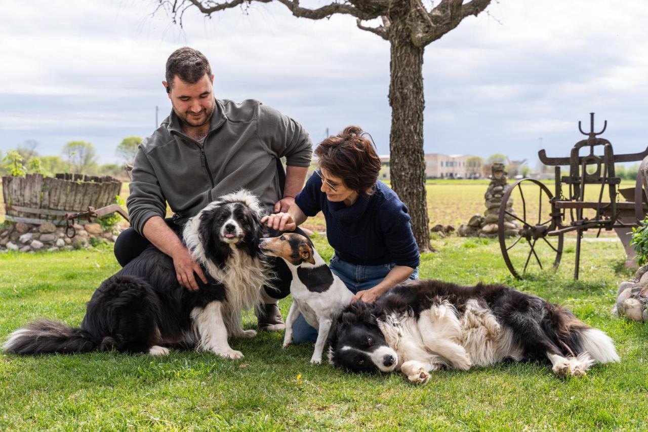 Agriturismo Pozzo Fiorito Кастильоне-делле-Стивьере Экстерьер фото